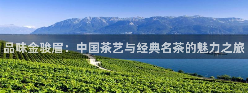 鸿运直播平台安卓版