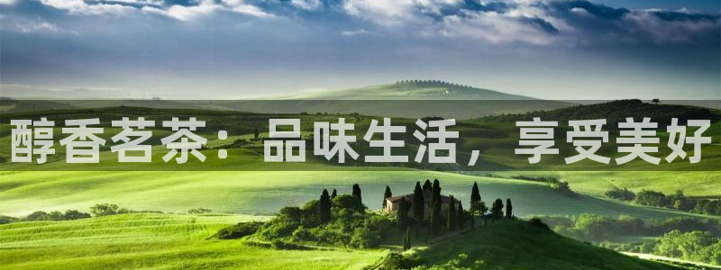 鸿运平台投资诈骗