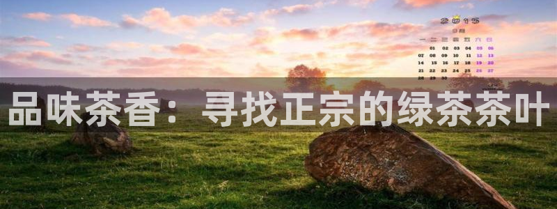 鸿运牛骨服务平台