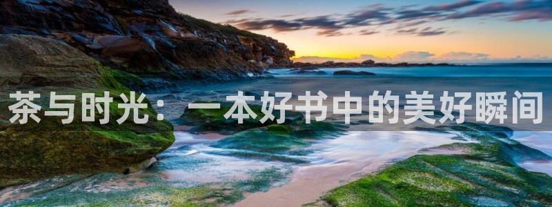 正规鸿运国际平台