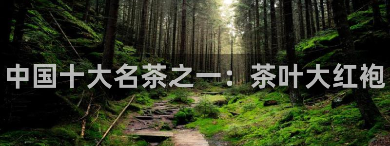 鸿运彩票平台代理