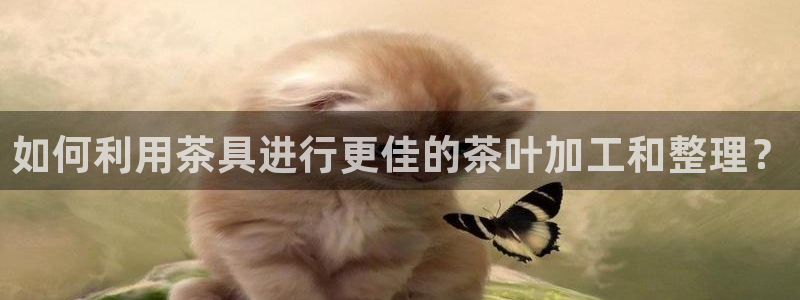 鸿运彩票注册平台