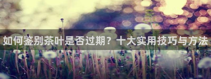 鸿运28投注平台