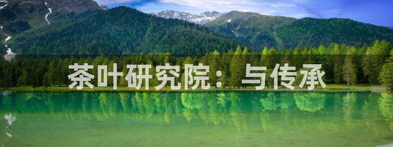 鸿运彩票 的平台