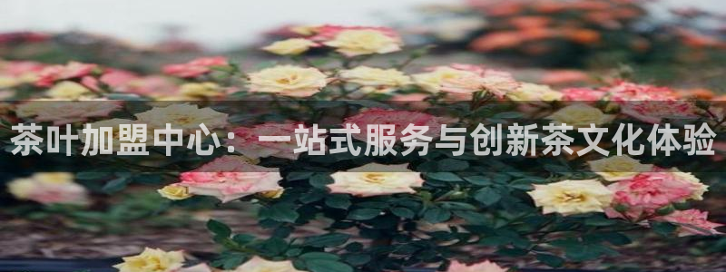 鸿运市场直播平台