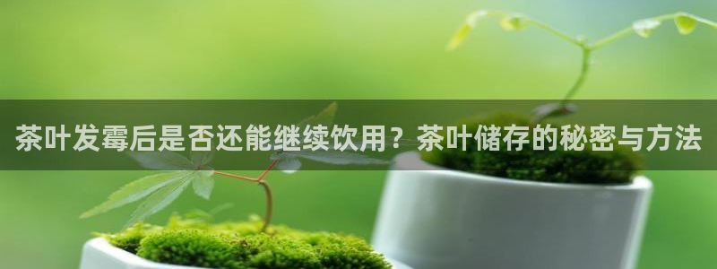 鸿运国际平台平台介绍