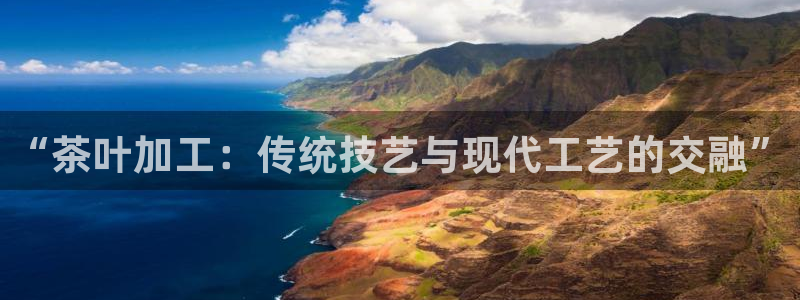 鸿运彩票网络平台