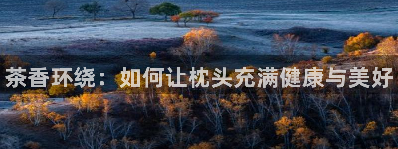 鸿运当头抽奖平台