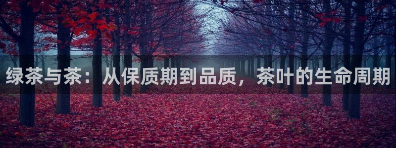 鸿运网938777平台