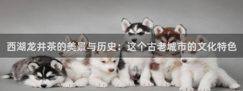 鸿运交易平台app