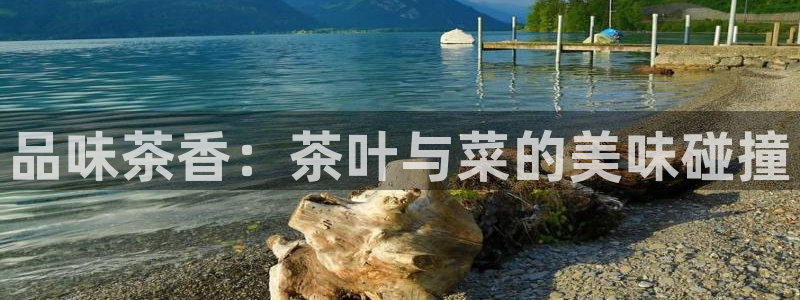 鸿运平台垫付任务