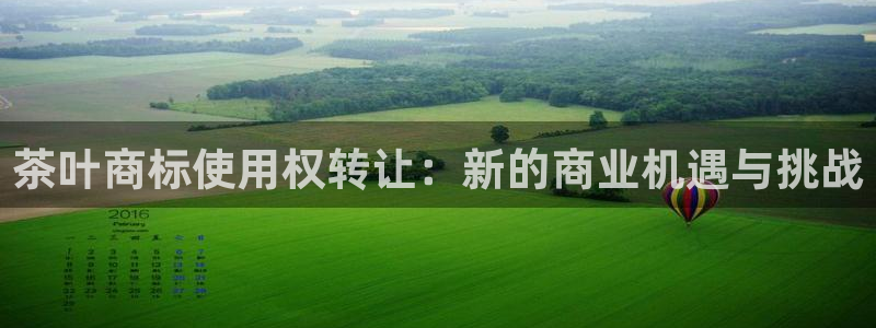 鸿运注册平台是什么